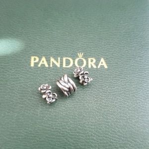 Pandora charms